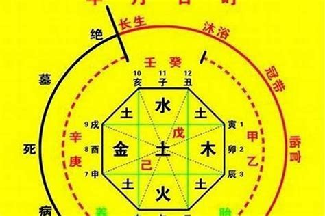 命中喜水|什么样的八字喜水 – 八字喜水人的特征